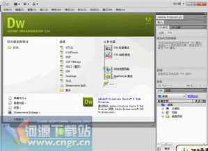 網(wǎng)頁(yè)制作與軟件開發(fā)常用工具指南