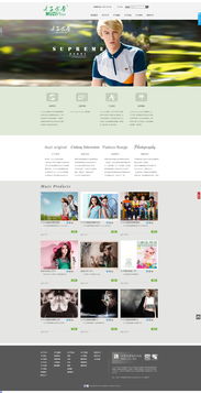 網頁設計與軟件開發 數字時代的兩大支柱